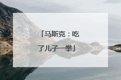 马斯克：吃了儿子一拳
